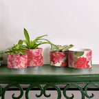 Rose Marie Floral Ceramic Cachepot