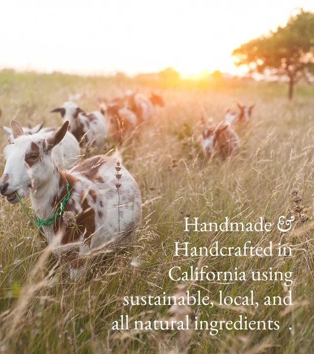 Aloha | Goat Milk Hand & Body Lotion