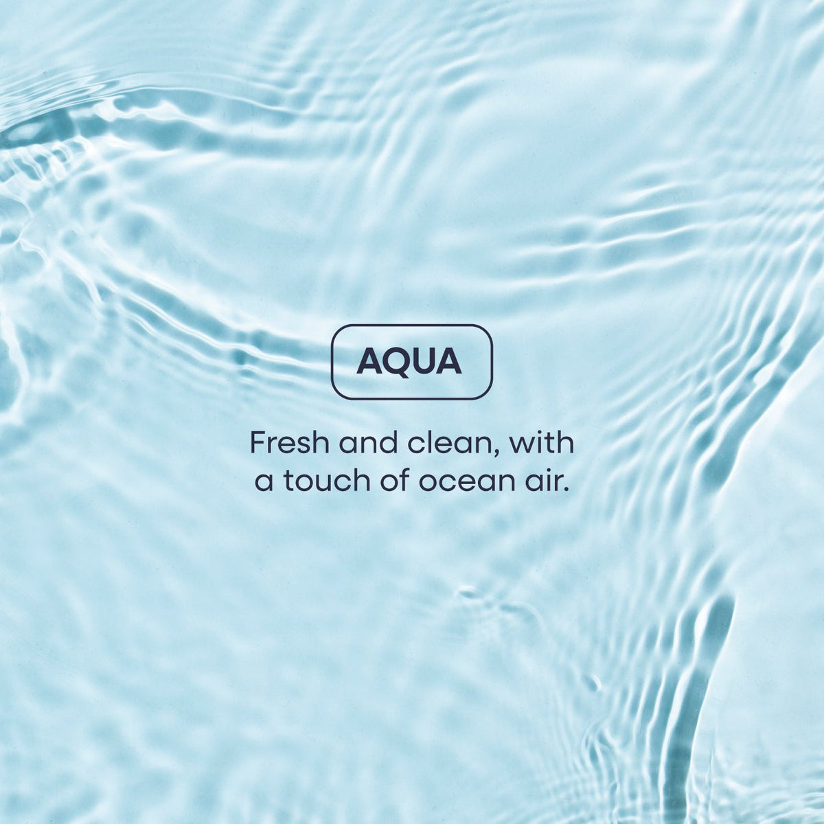 Deep Clean Body Wash Duo – Full Size + Travel