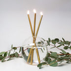 Everlasting Candles