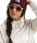 The North Face Womens Evolution Half Dome Hoodie