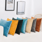 Velvet Accent Pillows