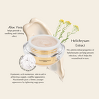 Sunrise Firming & Hydrating Day Cream