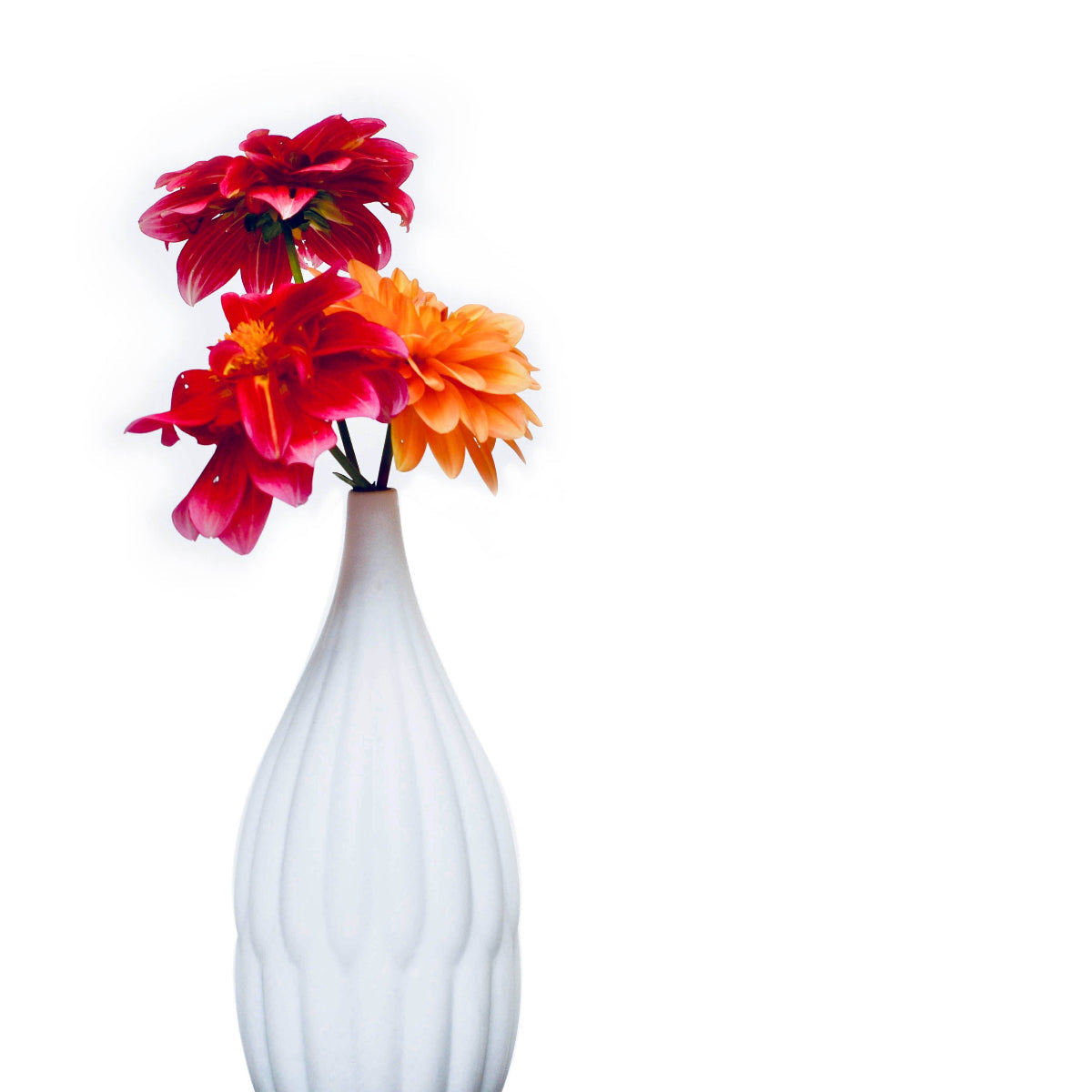 Textured Porcelain Vases White - set of 3