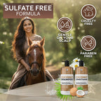 Coconut Shampoo and Conditioner Set 16 Fl Oz Set of 2 Sulfate Free Deep Moisturizing Hydrating Anti Frizz Formula for Women and Men Professional Salon Grade Dry Damaged Hair Care Products