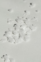 SEELE – Exfoliating Sea Salt Scrub | Celtic Salt®, Choya Nākh, Coriander & Pearl Extract