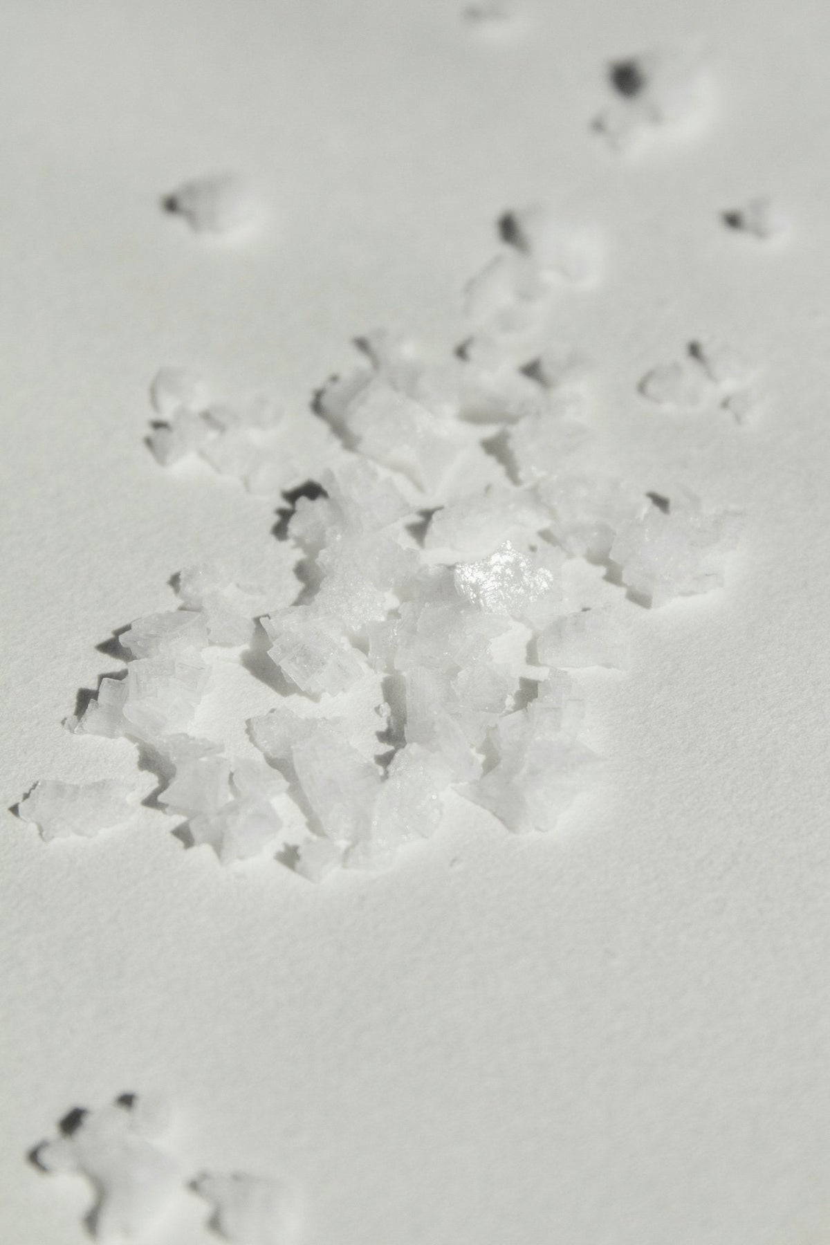 SEELE – Exfoliating Sea Salt Scrub | Celtic Salt®, Choya Nākh, Coriander & Pearl Extract