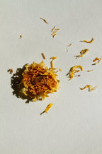 SEELE – Exfoliating Sea Salt Scrub | Celtic Salt®, Choya Nākh, Coriander & Pearl Extract