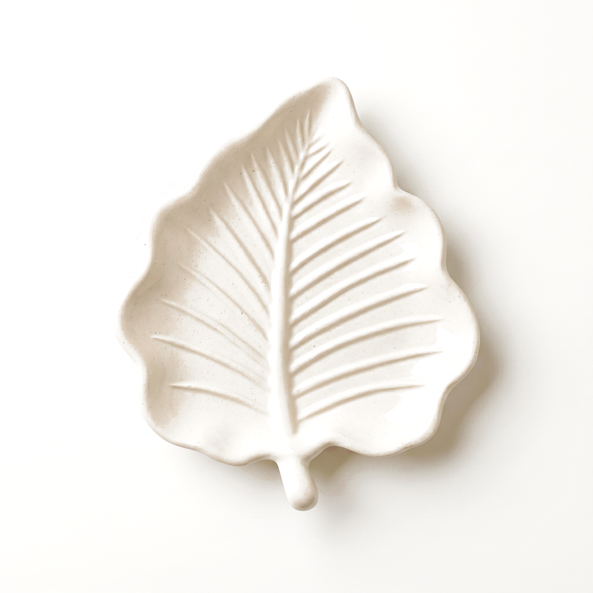 White Elm Leaf Decorative Tray – Handcrafted Gypsum 6"